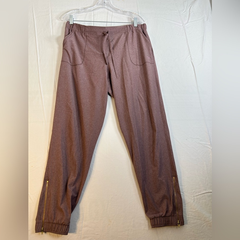 Albion Fit jetsetter joggers.
